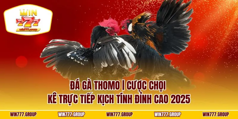 Đá Gà Thomo | Cược Chọi Kê Trực Tiếp Kịch Tính Đỉnh Cao 2025