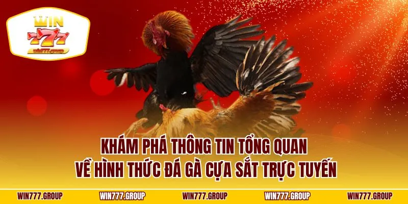 Khám phá thông tin tổng quan về hình thức đá gà cựa sắt trực tuyến